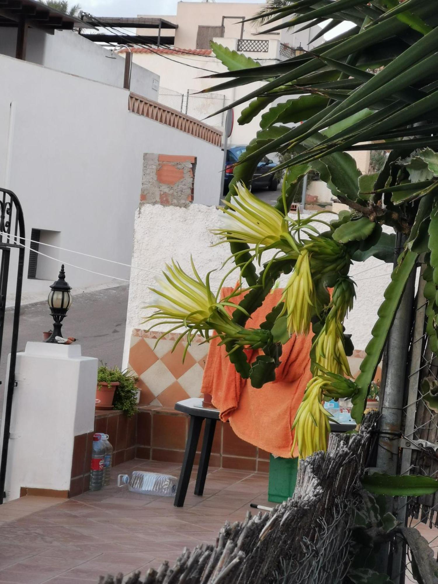 Vivienda Rural En Cabo De Gata Apartment Pozo de los Frailes Bagian luar foto